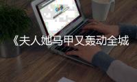《夫人她马甲又轰