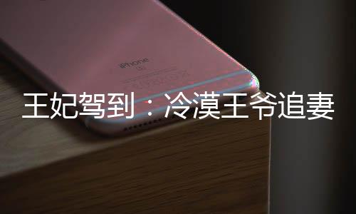 王妃驾到：冷漠王爷追妻记