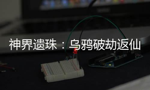 《全球贬值，我穿回来后带飞全家！》全文在线阅读