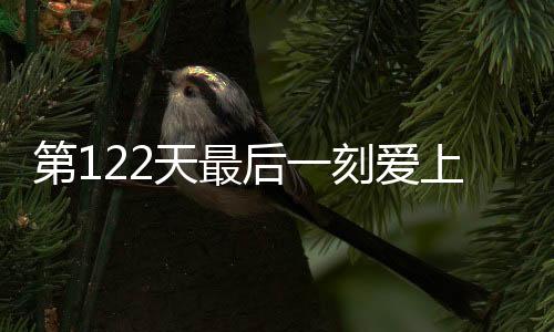 《穿书成恶毒女配，我创死霸总全家》全文在线阅读