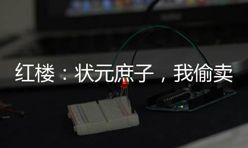 红楼：状元庶子，我偷卖通灵宝玉