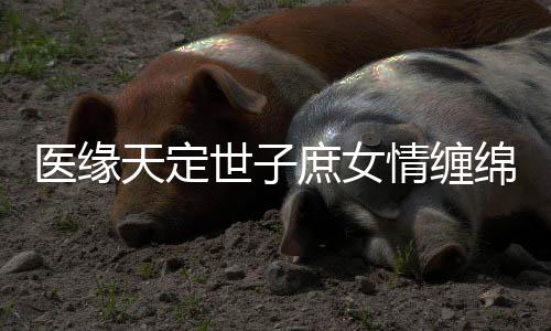 《黄泉快递：亲，记得五星好评哟》全文在线阅读