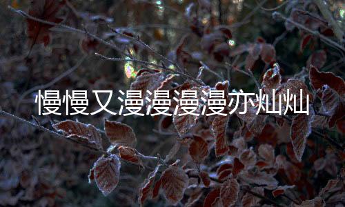 《算卦太准，一不小心功德爆表啦！》全文在线阅读