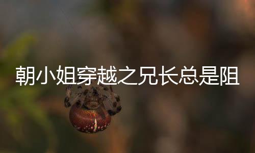 朝小姐穿越之兄长总是阻止我和别人成亲