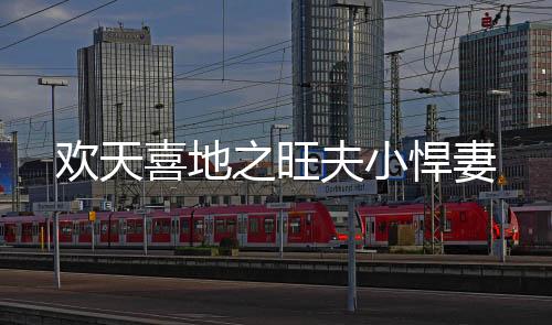 欢天喜地之旺夫小悍妻