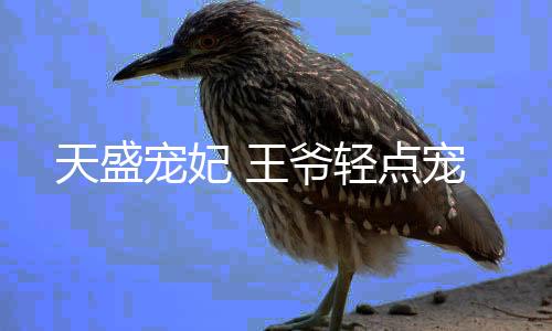 天盛宠妃 王爷轻点宠