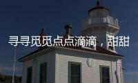 寻寻觅觅点点滴滴