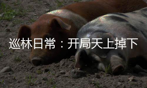 《大神你人设崩了》全文在线阅读