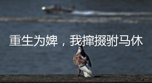 《重生年代大院娇媳美又飒》全文在线阅读
