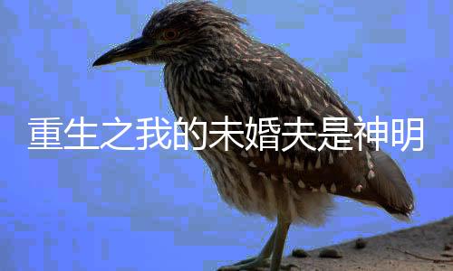 《七零：随军辣媳带飞大院暴富逆袭》全文在线阅读