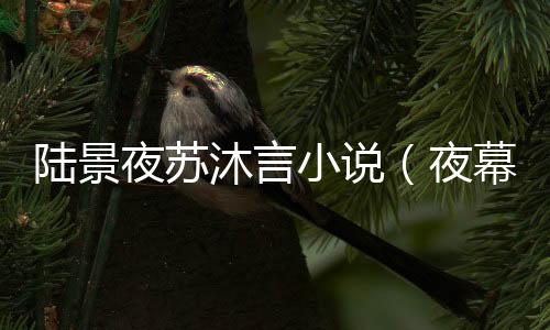 《嫁绝嗣长官，好孕作精在七零躺赢》全文在线阅读