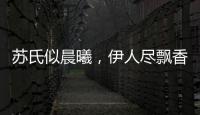 苏氏似晨曦，伊人