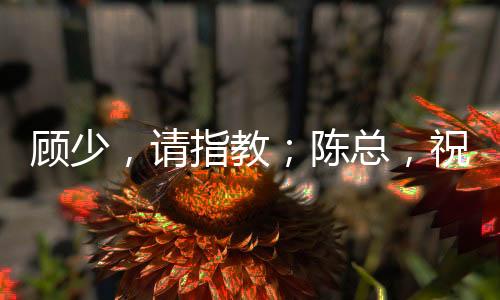 顾少，请指教；陈总，祝安好！